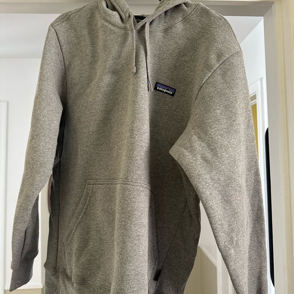 Patagonia men’s gray hoodie
